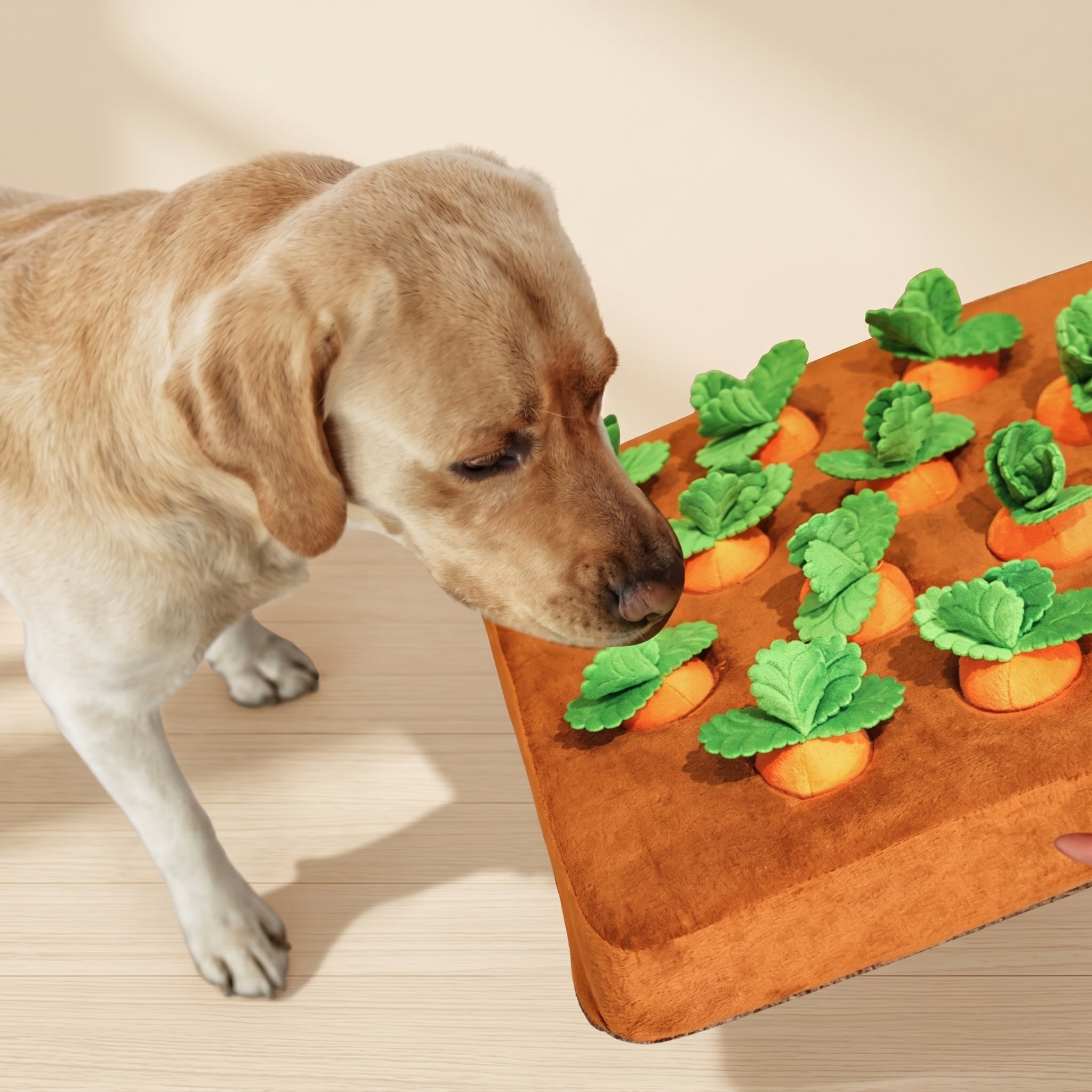 Labrador dog with carrot-garden snuffle mat enrichment